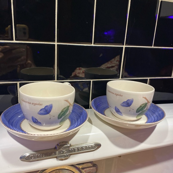 WEDGWOOD ENGLAND QUEEN’S WARE SARAH’S GARDEN coffee, teacup, and saucer set -1 - Picture 8 of 8